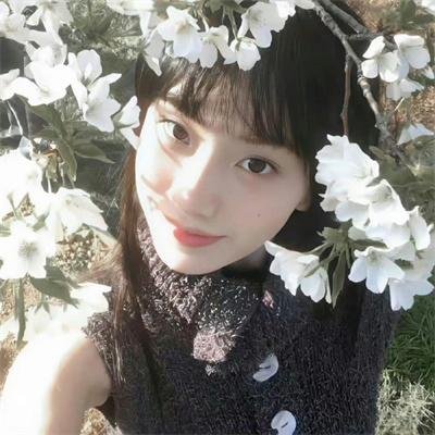 竞选风云